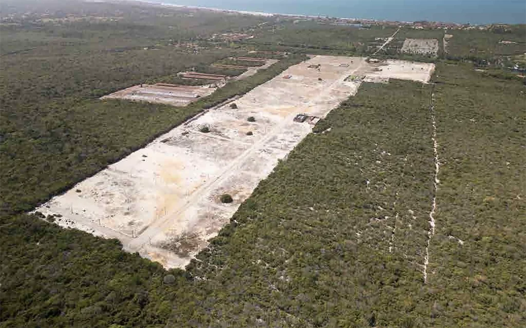 área de restinga desmatada