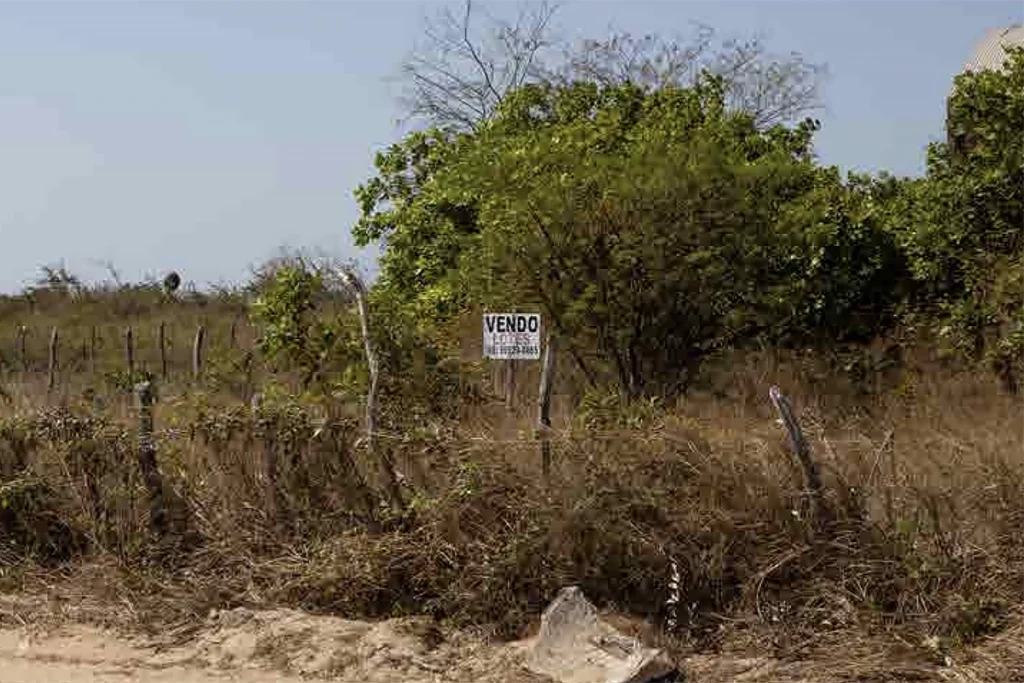 terreno na restinga com desmatamento