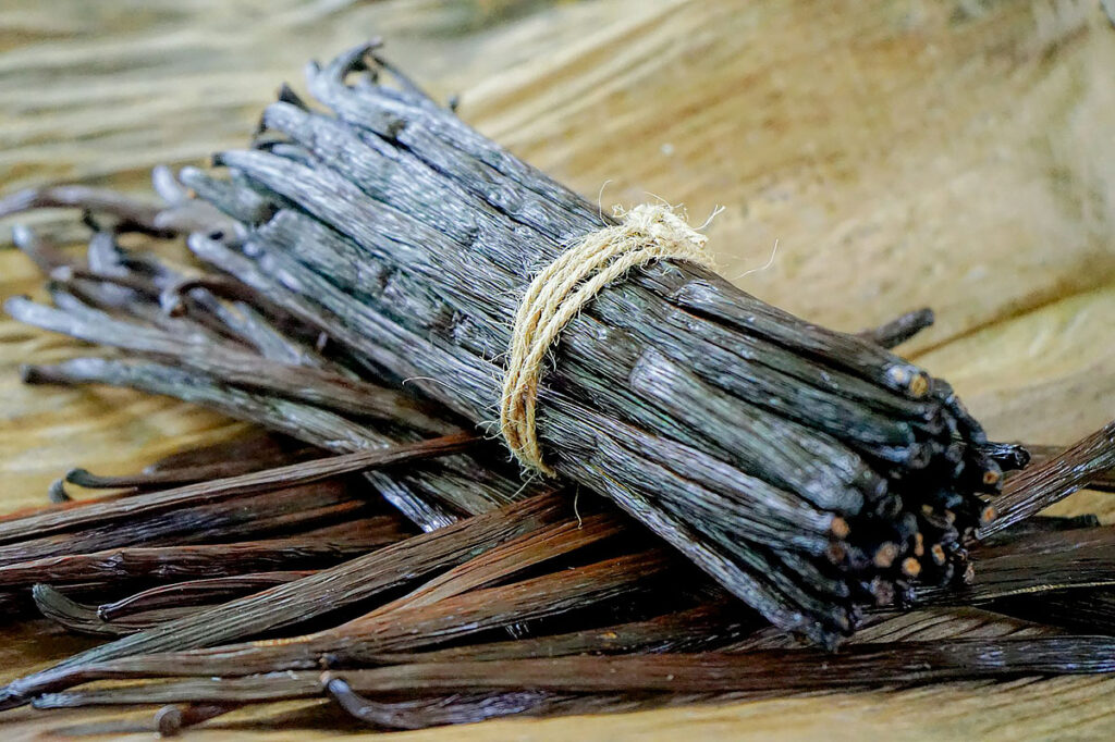 baunilha vanilla