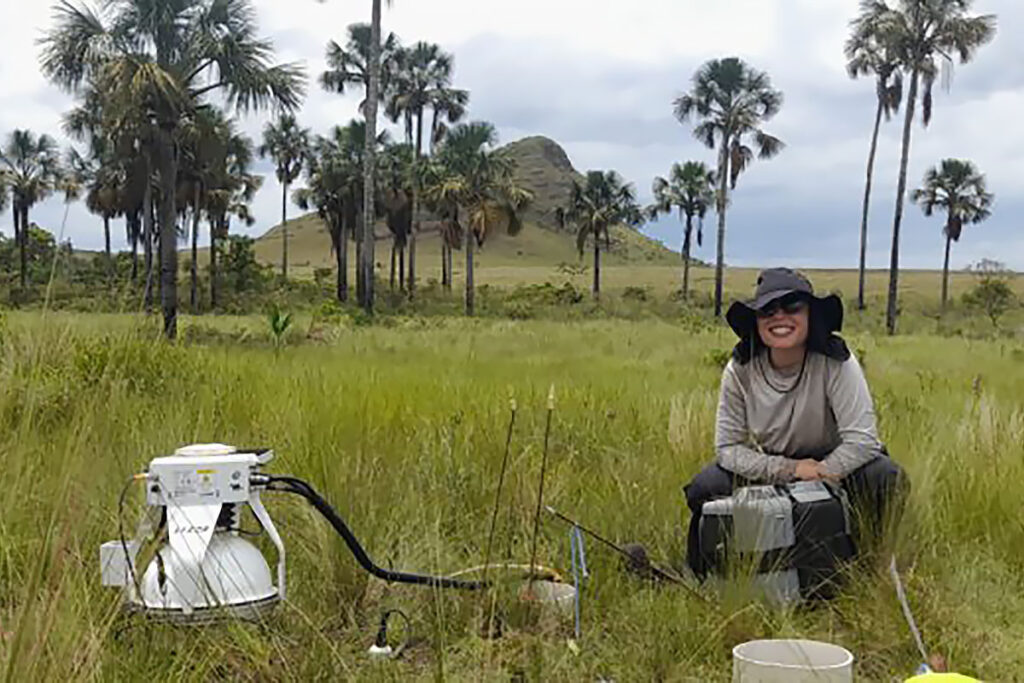 pesquisa de carbono em áreas úmidas do cerrado