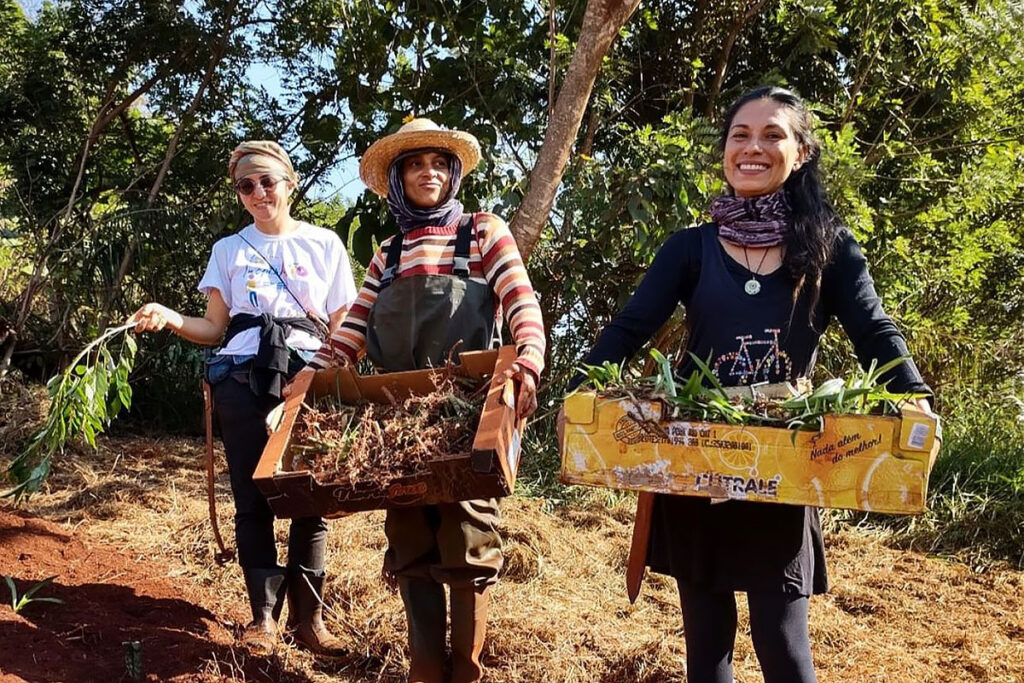 mulheres colheita agrofloresta