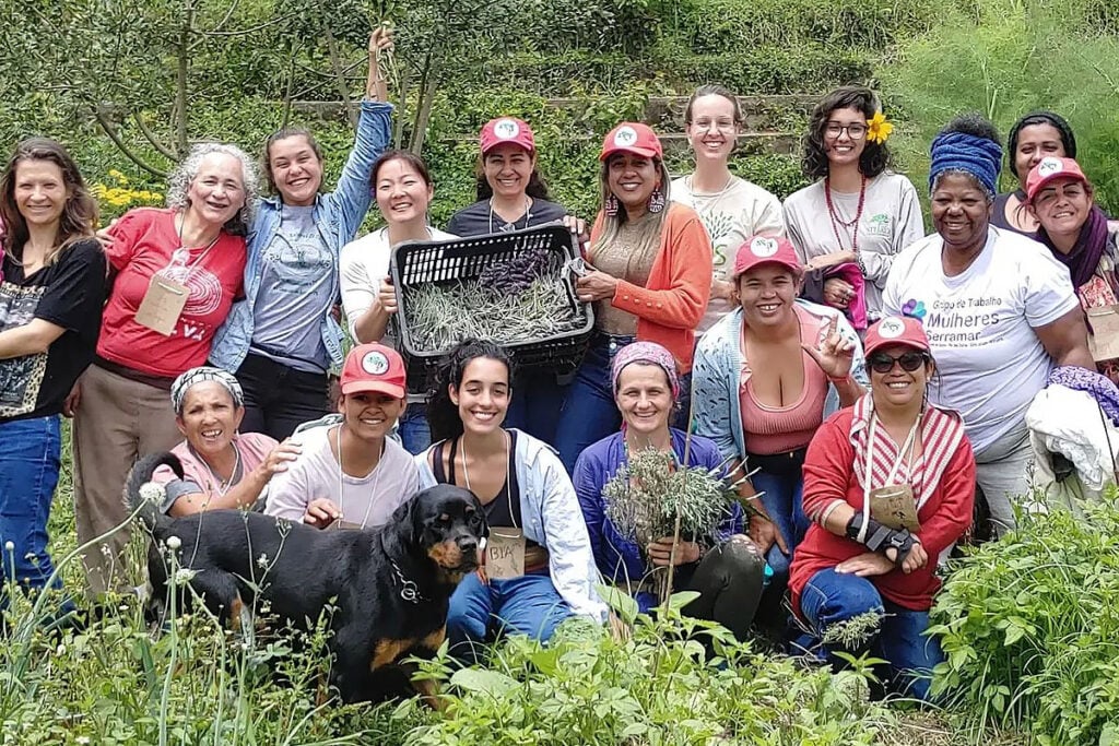 mutirão de mulheres em agrofloresta