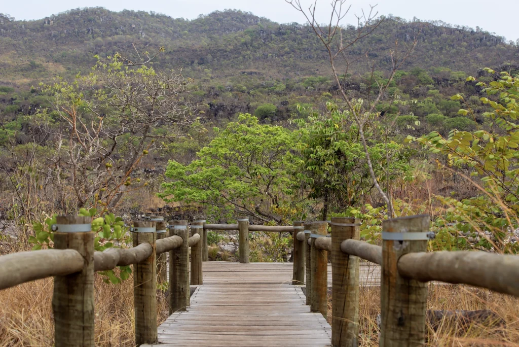 trilha na chapada dos veadeiros