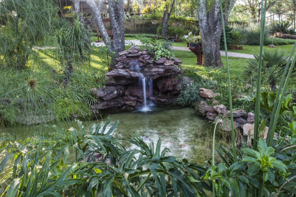Jardim sensorial