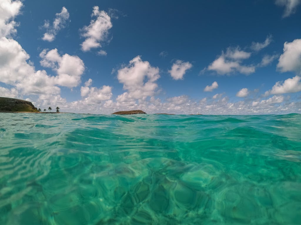 abrolhos