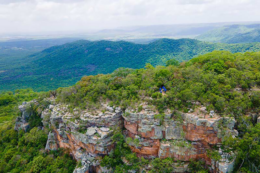 caatinga