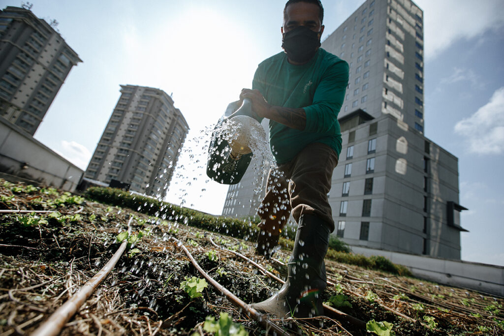 horta urbana