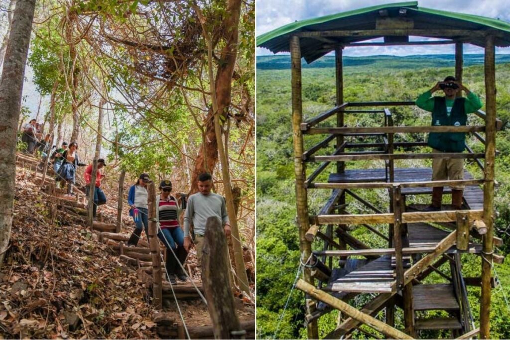 ecoturismo