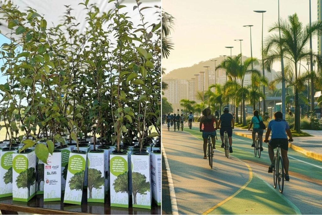 arborização e mobilidade urbana