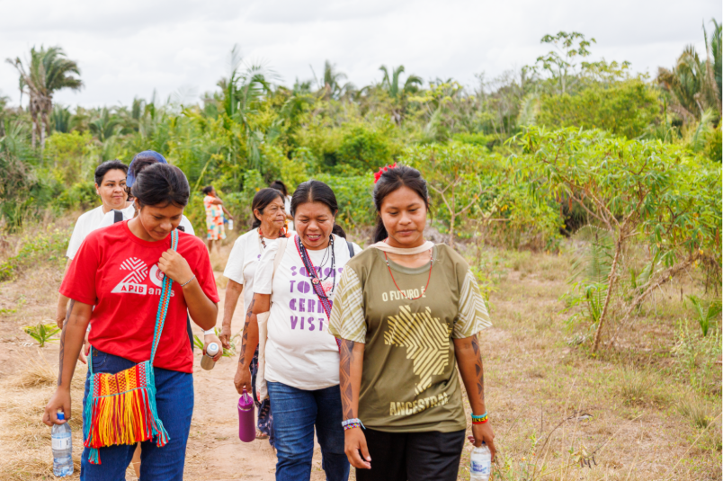mulheres guarani, mulheres kaiowá, indígenas