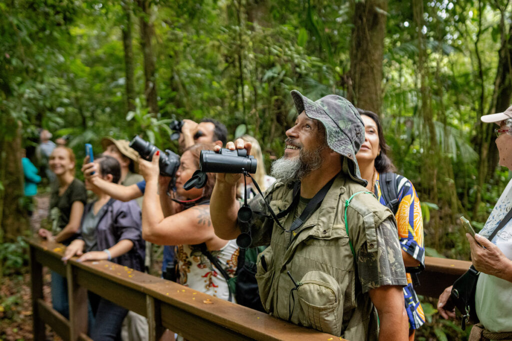 observação de aves