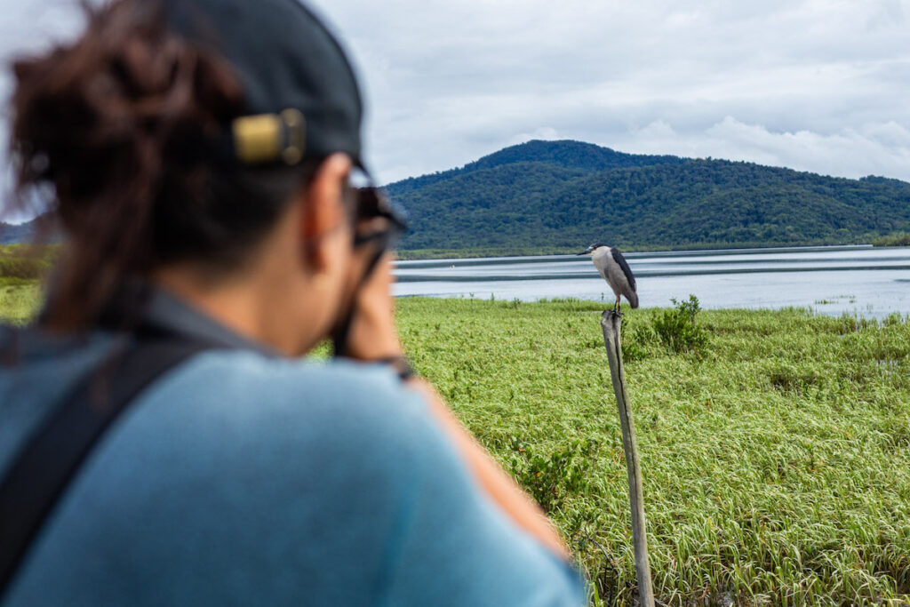 observação de aves