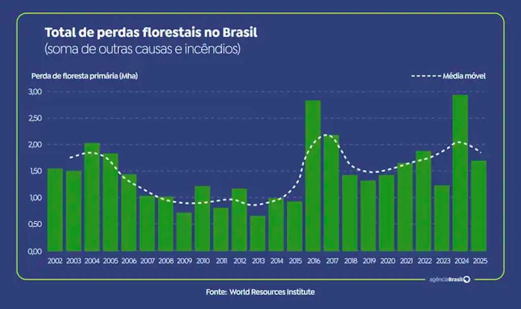 Perdas florestais