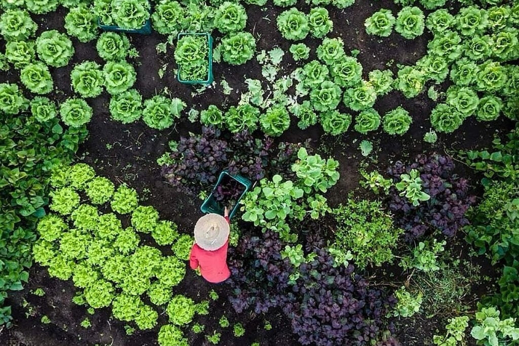agroecologia