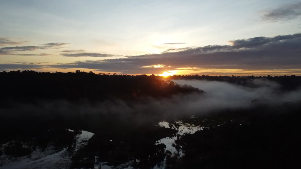 Amazônia Modernismo