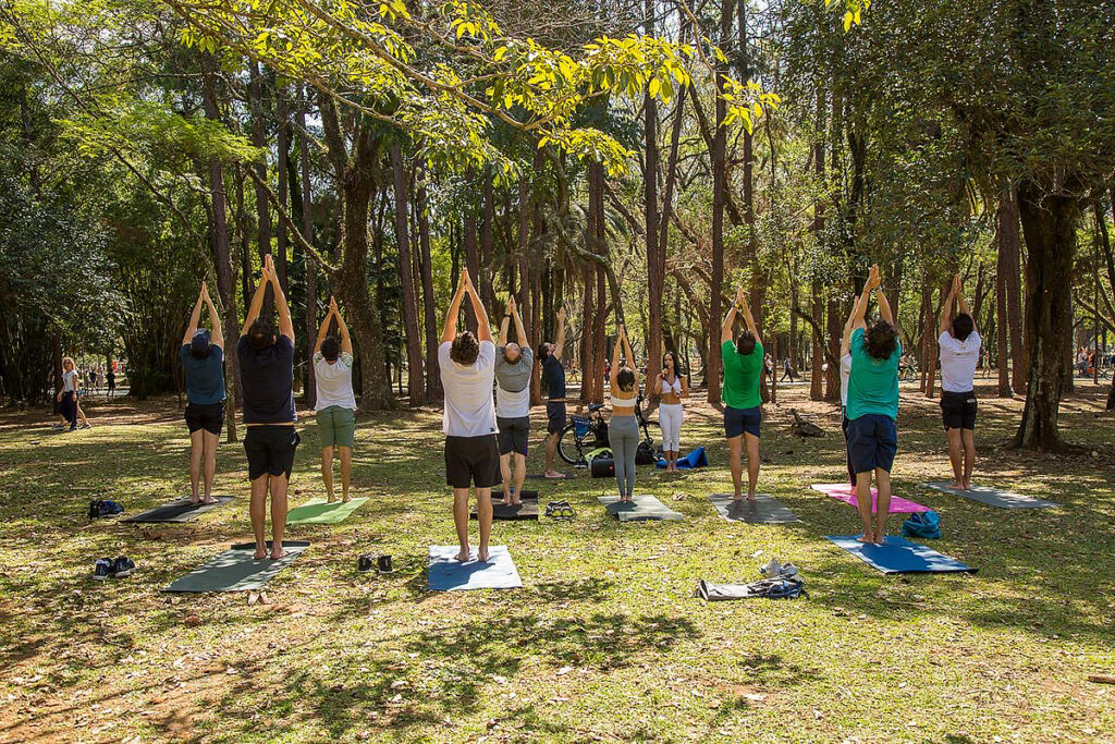 yoga no parque do Ibirapuera natureza