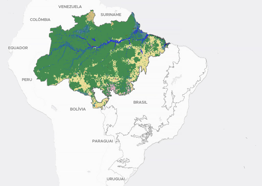 fragmentação da vegetação nativa na Amazônia