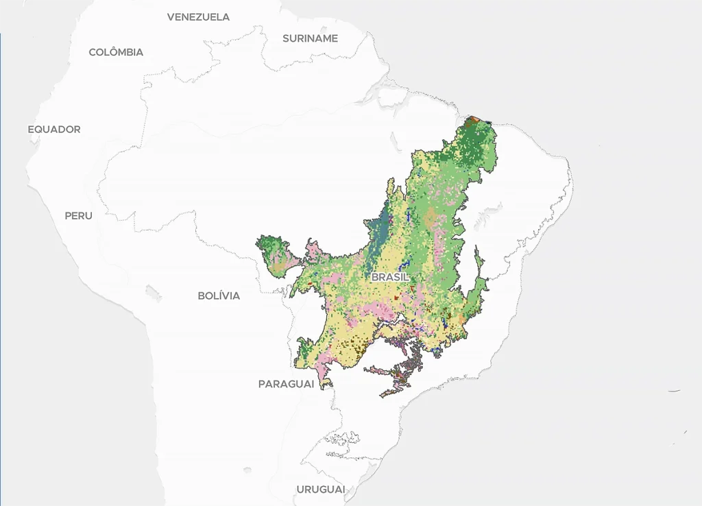 fragmentação da vegetação no cerrado