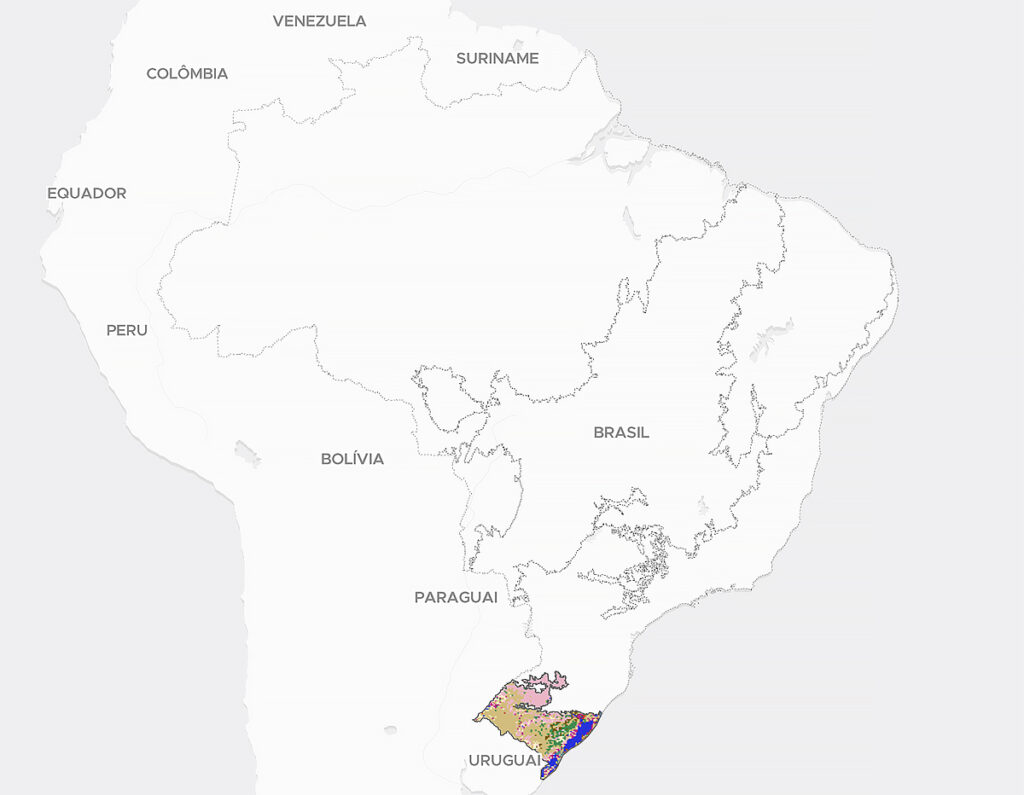 fragmentação de vegetação nativa no Pampa