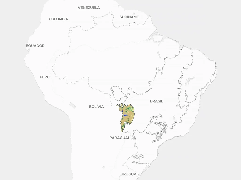 fragmentação da vegetação nativa no Pantanal