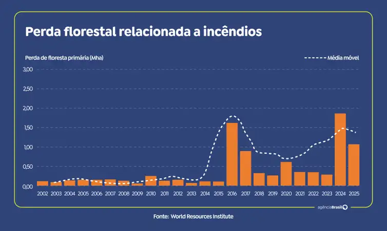 grafico Perdas florestais