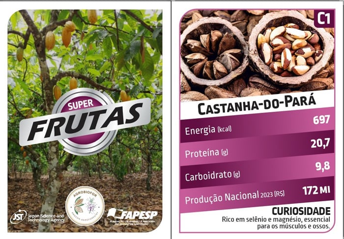 Inspirado no Super Trunfo, jogo de cartas revela frutas amazônicas
