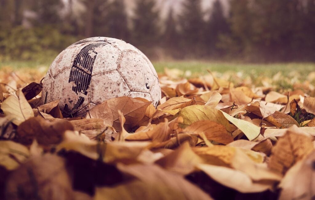 folhas secas bola de futebol