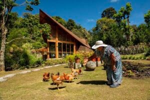 casa natureza