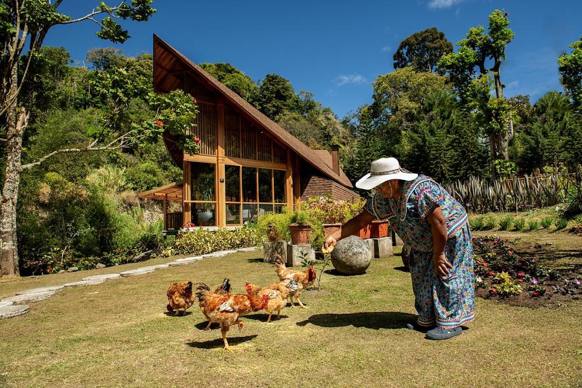 Uma folha seca inspirou esta casa de madeira integrada à natureza
