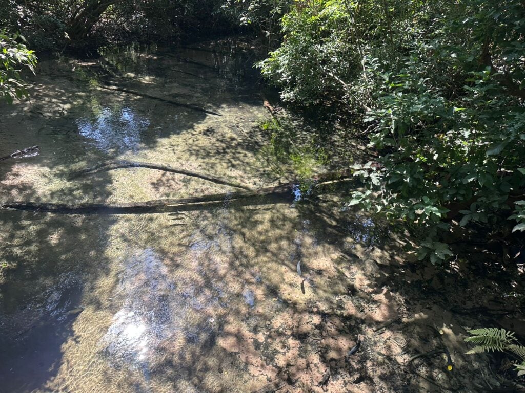 nascente do rio Triste