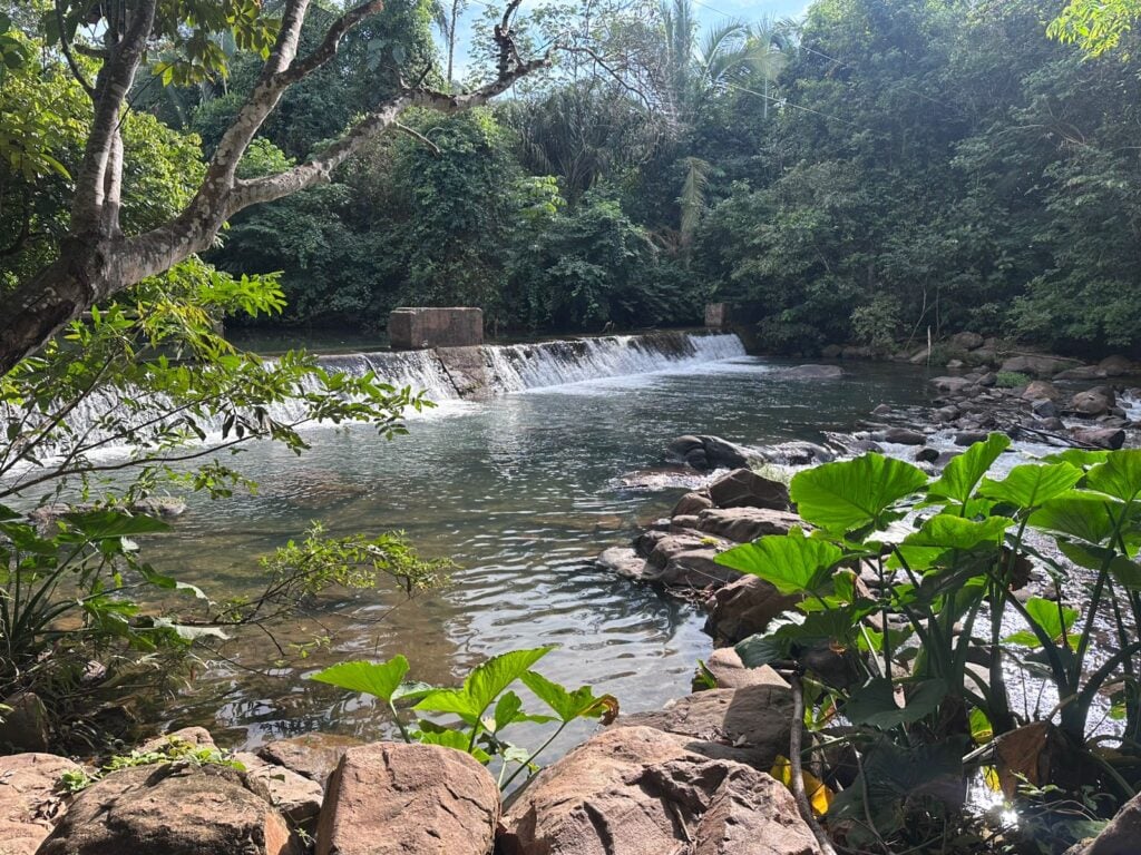 piscina natural