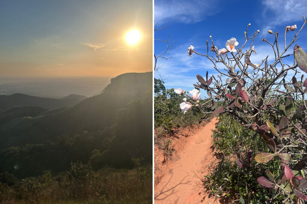 paisagens do Cerrado