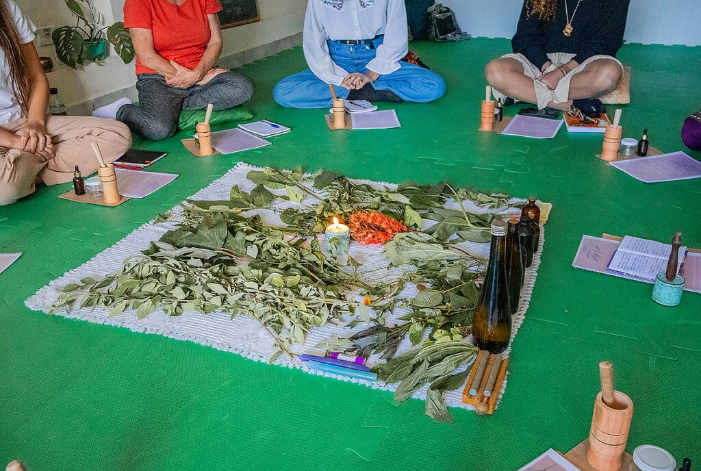 aula sobre plantas medicinais