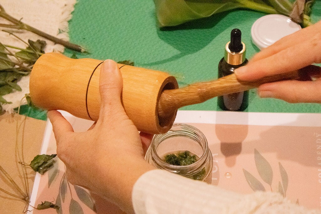 plantas medicinais