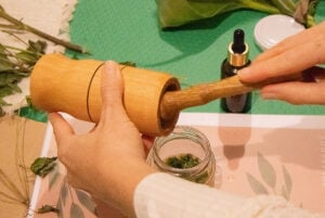 plantas medicinais