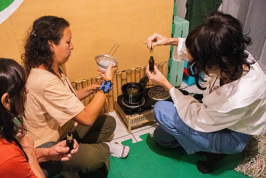 aula sobre plantas medicinais