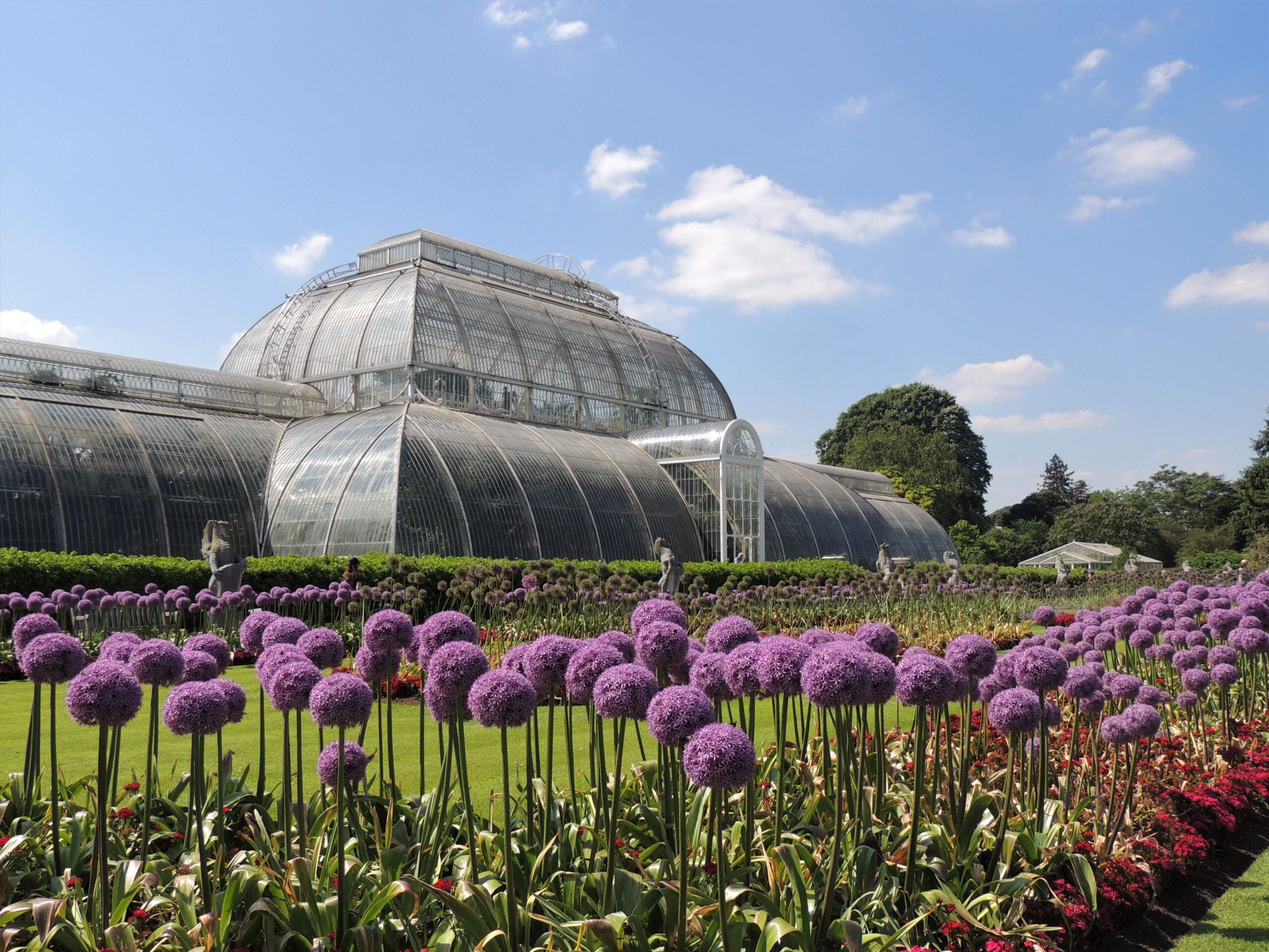Kew digitaliza herbário com 7,4 milhões de amostras