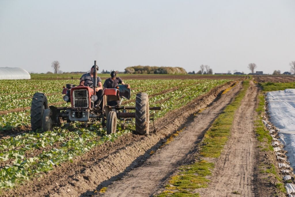 agricultura