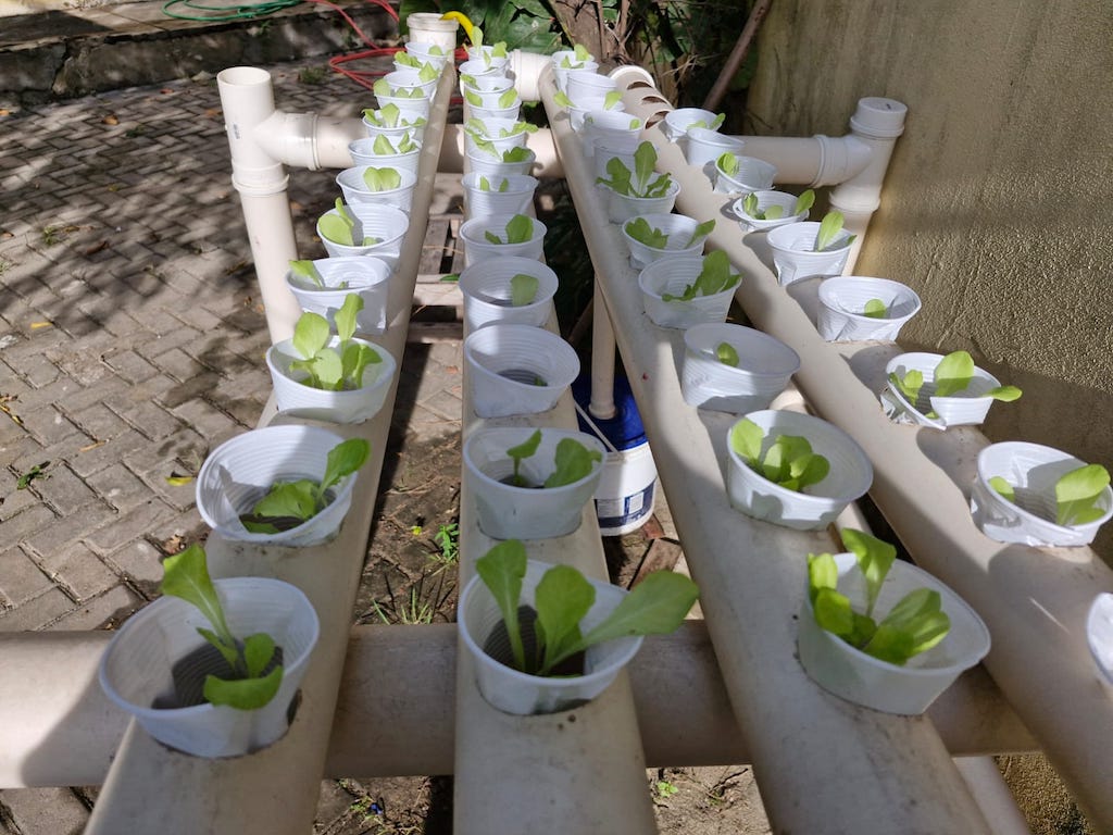 Horta hidropônica