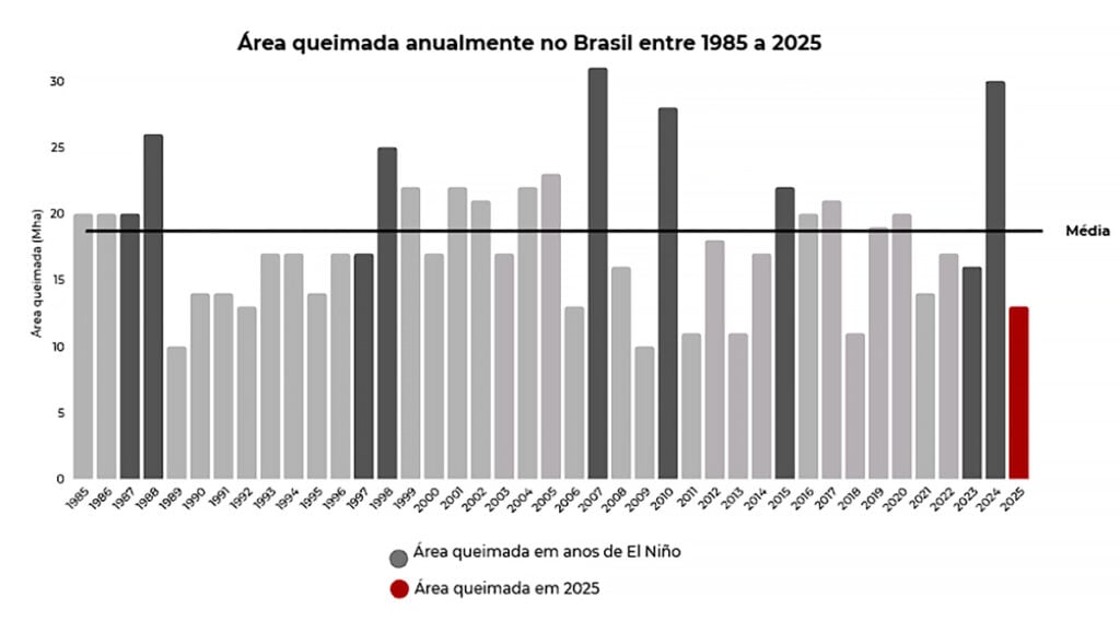 área queimada no Brasil