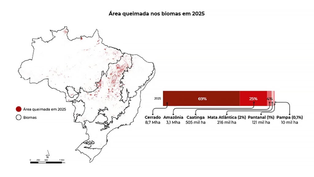 área queimada Brasil
