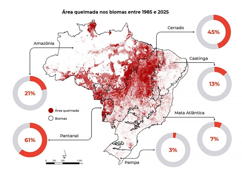 área queimada no Brasil