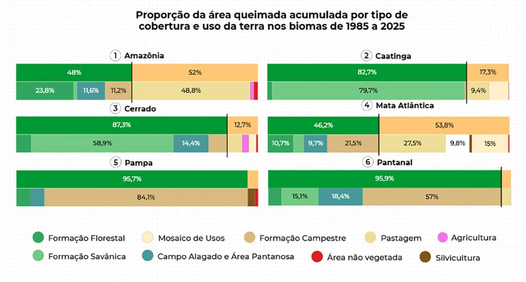 área queimada no Brasil