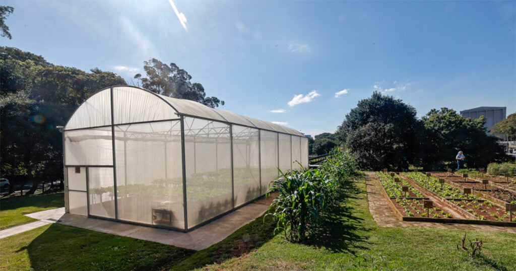 horta USP